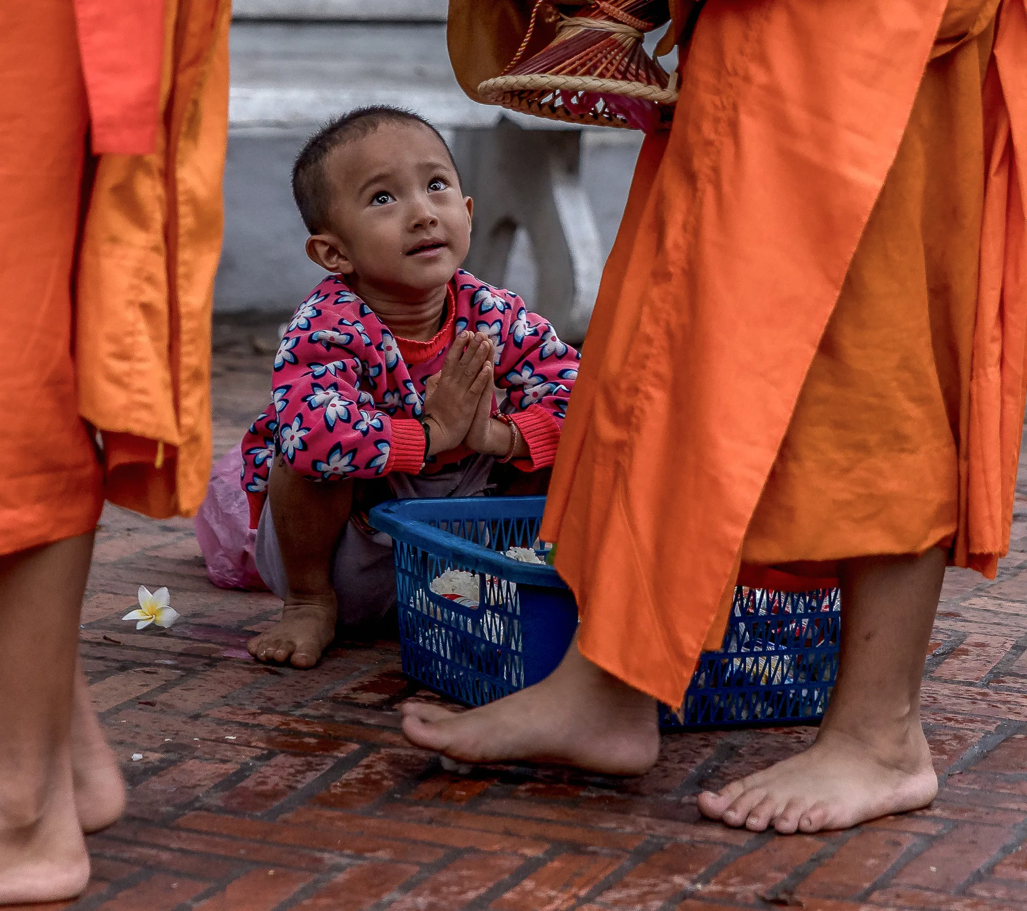 Portrait of young monk novice