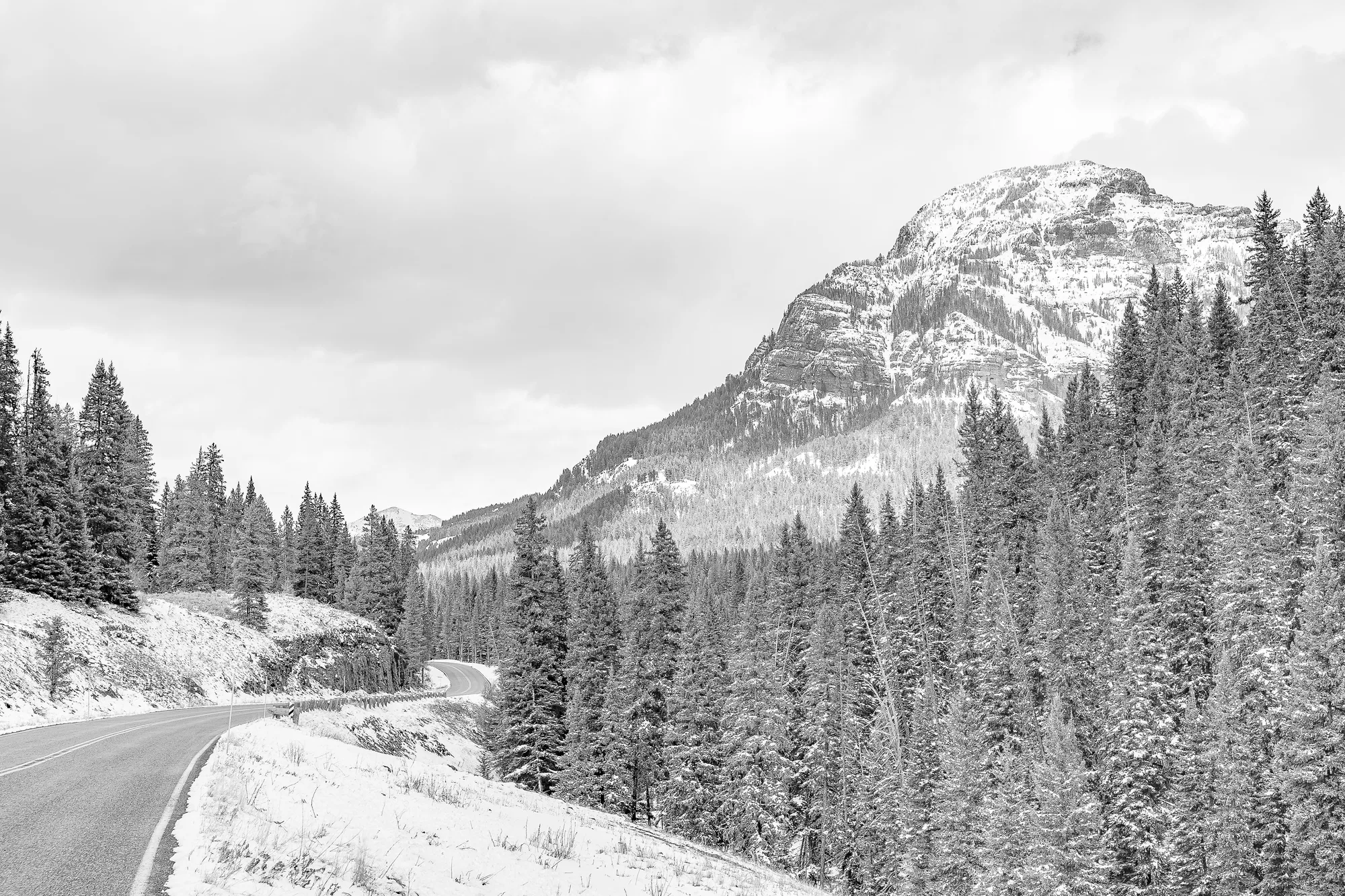 Vast winding road running through Yellowstone backcountry